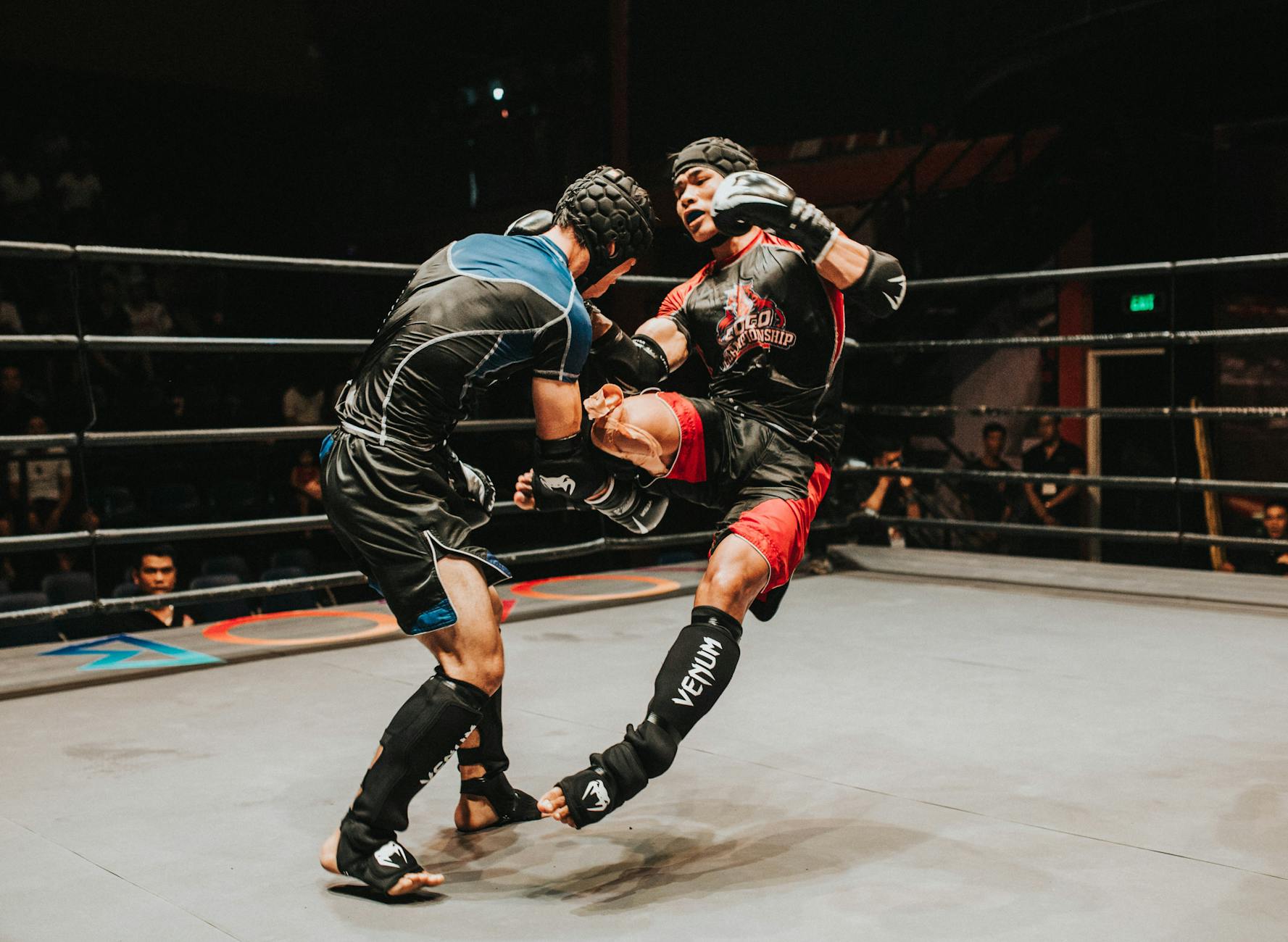 two fighter fighting inside ring