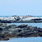 Exploring Rhode Island: The Ocean State’s Natural Beauty and Rich Heritage