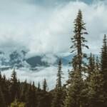 Exploring Washington: The Evergreen State’s Natural Beauty and Rich Heritage