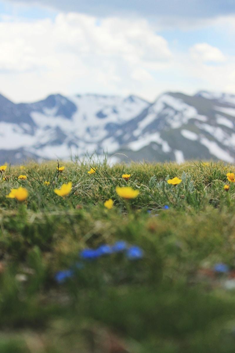 Exploring Colorado: The Centennial State’s Majestic Landscapes and Vibrant Culture