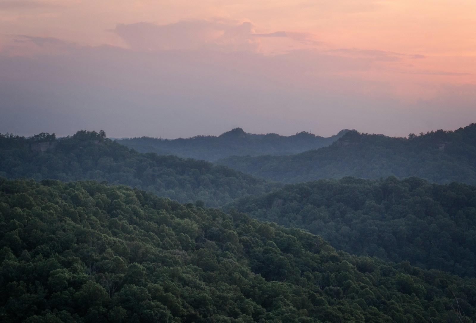 a landscape with trees and hills