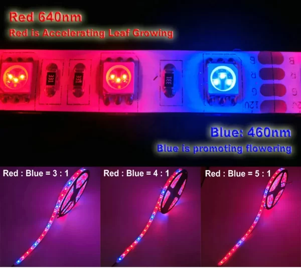 16.4ft SMD5050 LED Grow Light Strip – Full Spectrum, Waterproof, 14.4W/M, Red:Blue (4:1) for Plant Growth