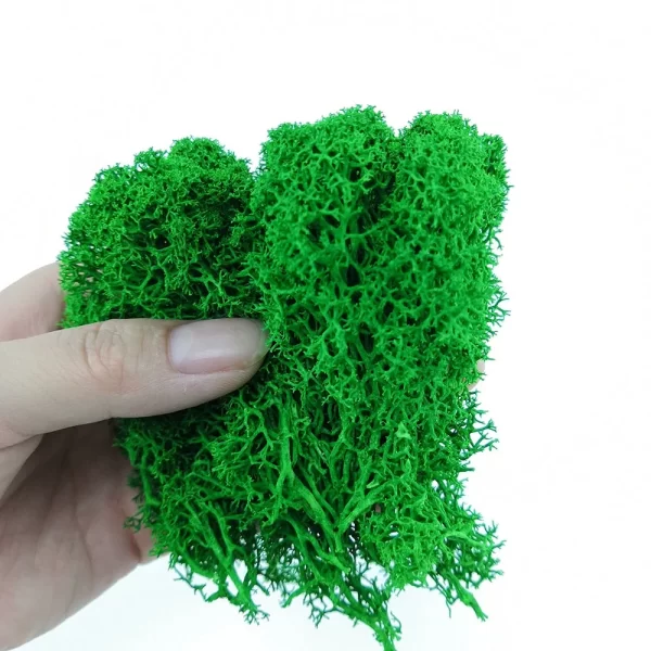 2020 Home Decor China Products Manufacturers Artificial Natural Plants Real Preserved Moss for Wall Decor