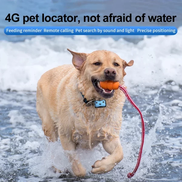 Smart GPS Pet Collar - Real-Time Tracking & Geo-Fencing