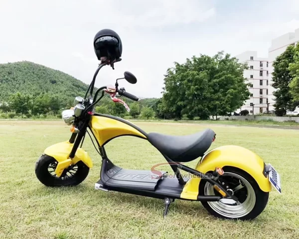 EU Warehouse Citycoco 3000W Electric Scooter with 60V 20Ah Removable Battery - Image 5