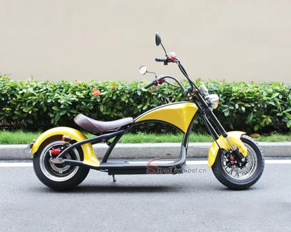 EU Warehouse Citycoco 3000W Electric Scooter with 60V 20Ah Removable Battery